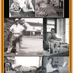 DENNIS CHANDLER LIZ CHANDLER COLLAGE TRIBUTE TO TED SAM SR SAM JR …